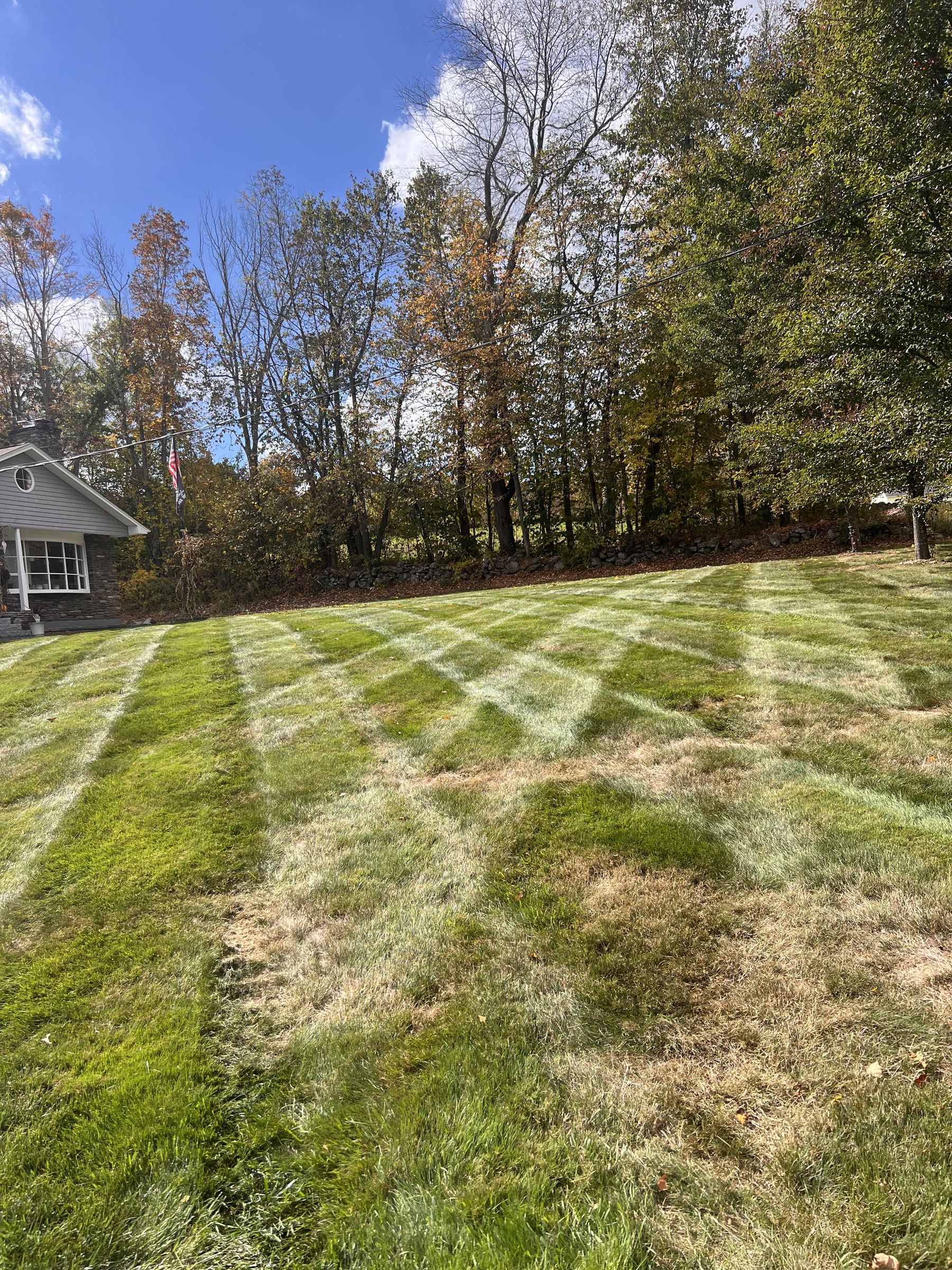 Freshly cut striped lawn