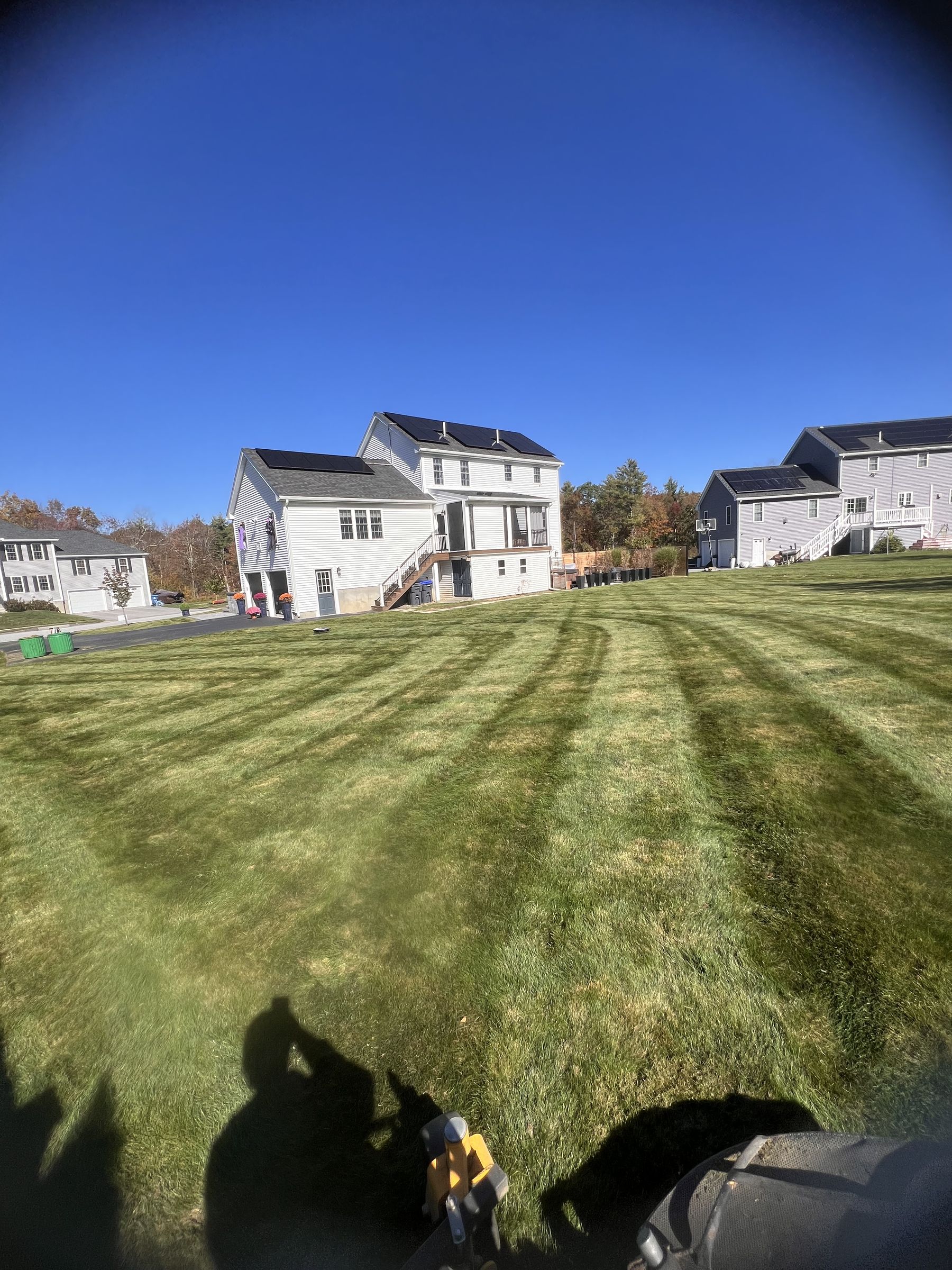 Striped lawn